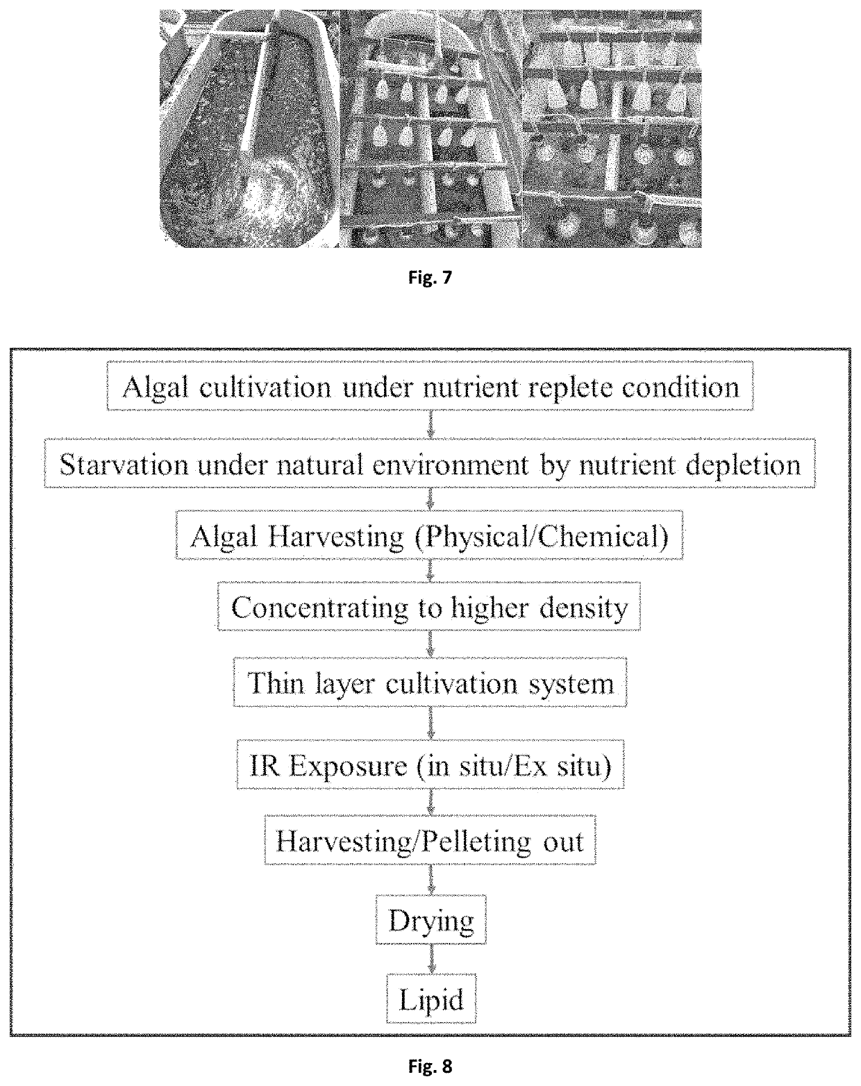 Method of enhancing lipid production in algae and applications thereof