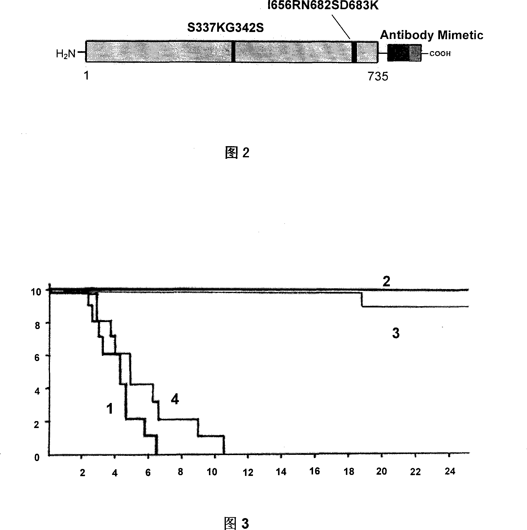 Anthrax resisting polypeptide and its application and preparation method