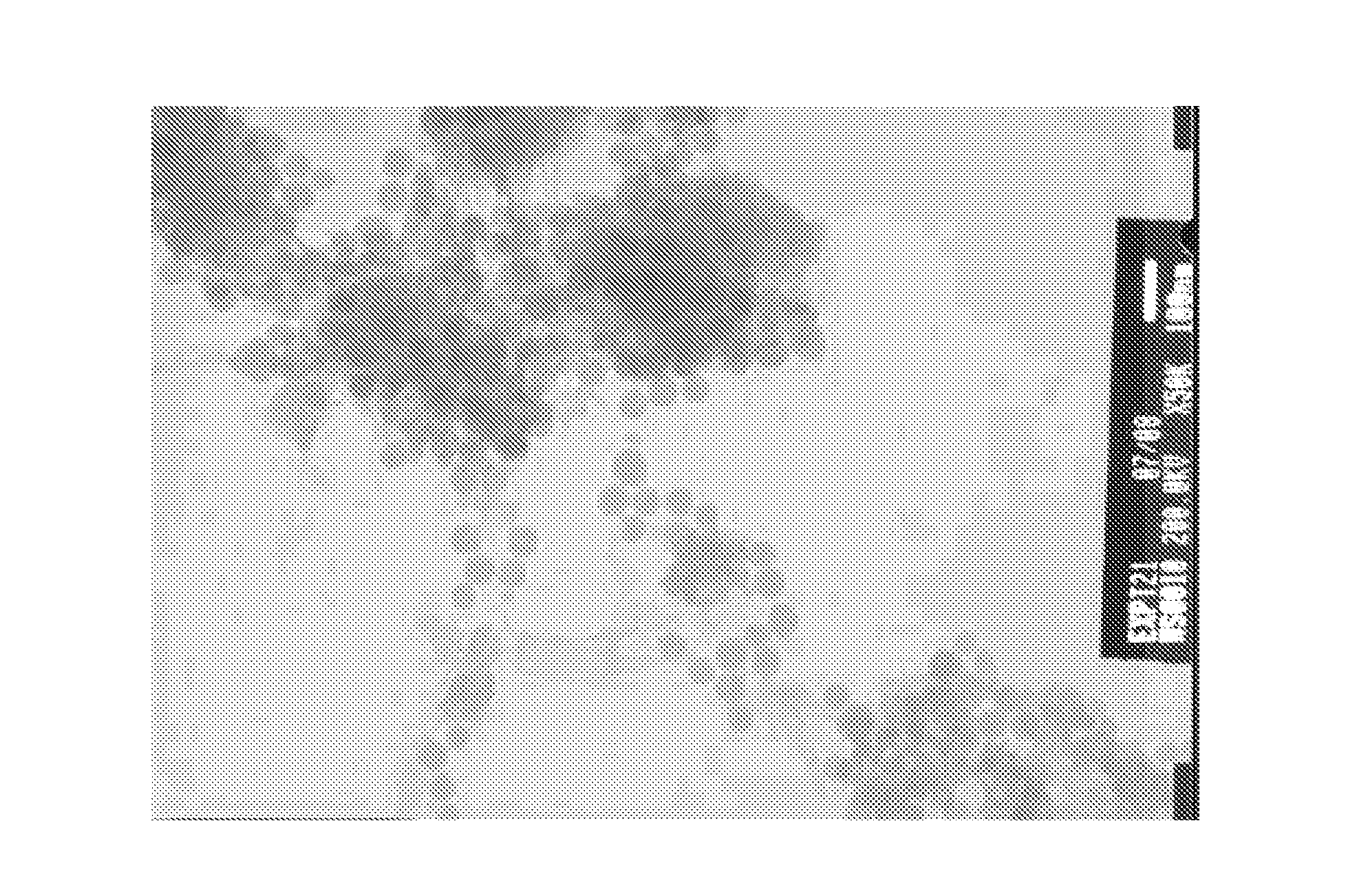 Method for preparing silica particles containing a phthalocyanine derivative, said particles and uses thereof