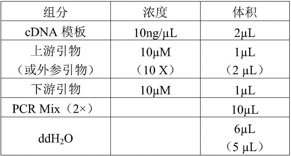 Serum miRNA marker combination for screening early breast cancer and application of serum miRNA marker combination