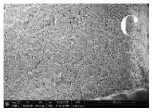 Mulberry leaf and rhizoma polygonati tea and preparation method thereof