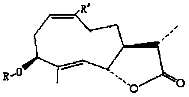 Method for simultaneously extracting chicoric acid, mono-caftaric acid, 3,5-dicaffeoylquinic acid and chlorogenic acid from pterocypsela indica as raw material