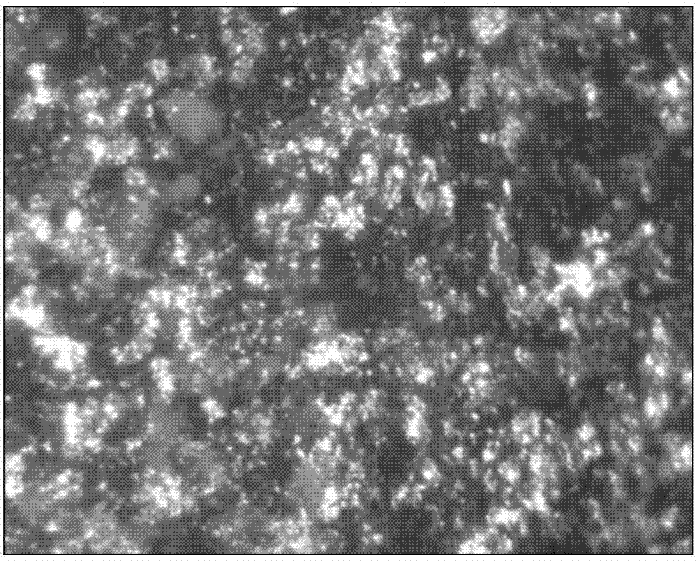 Magnesium alloy corrosion-resistant coating and application thereof