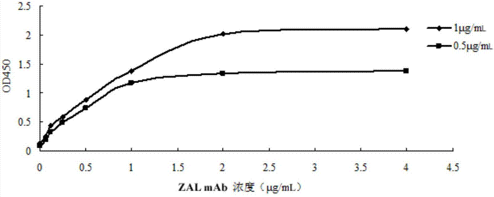 Method for preparing zeranol monoclonal antibody based on cross reactivity of structural analogue