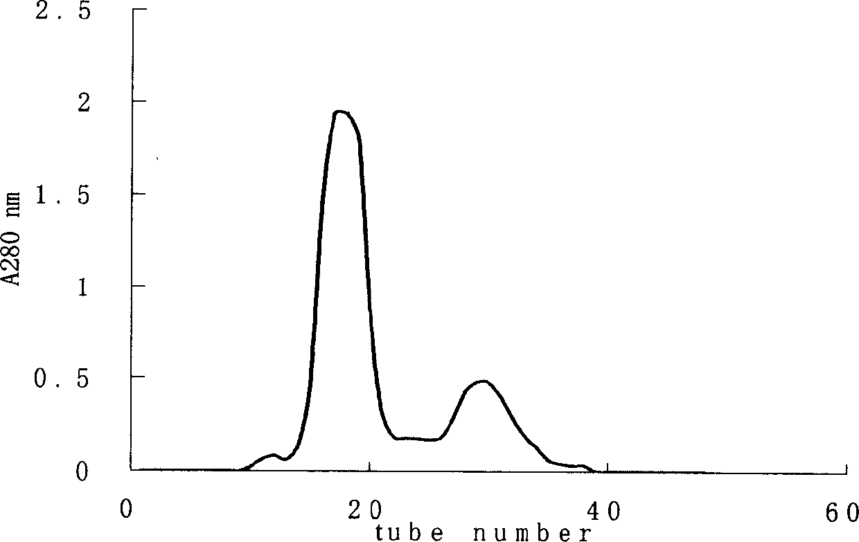 Long-noded pit viper poison dissolving fiber protein No.2 gene and use thereof