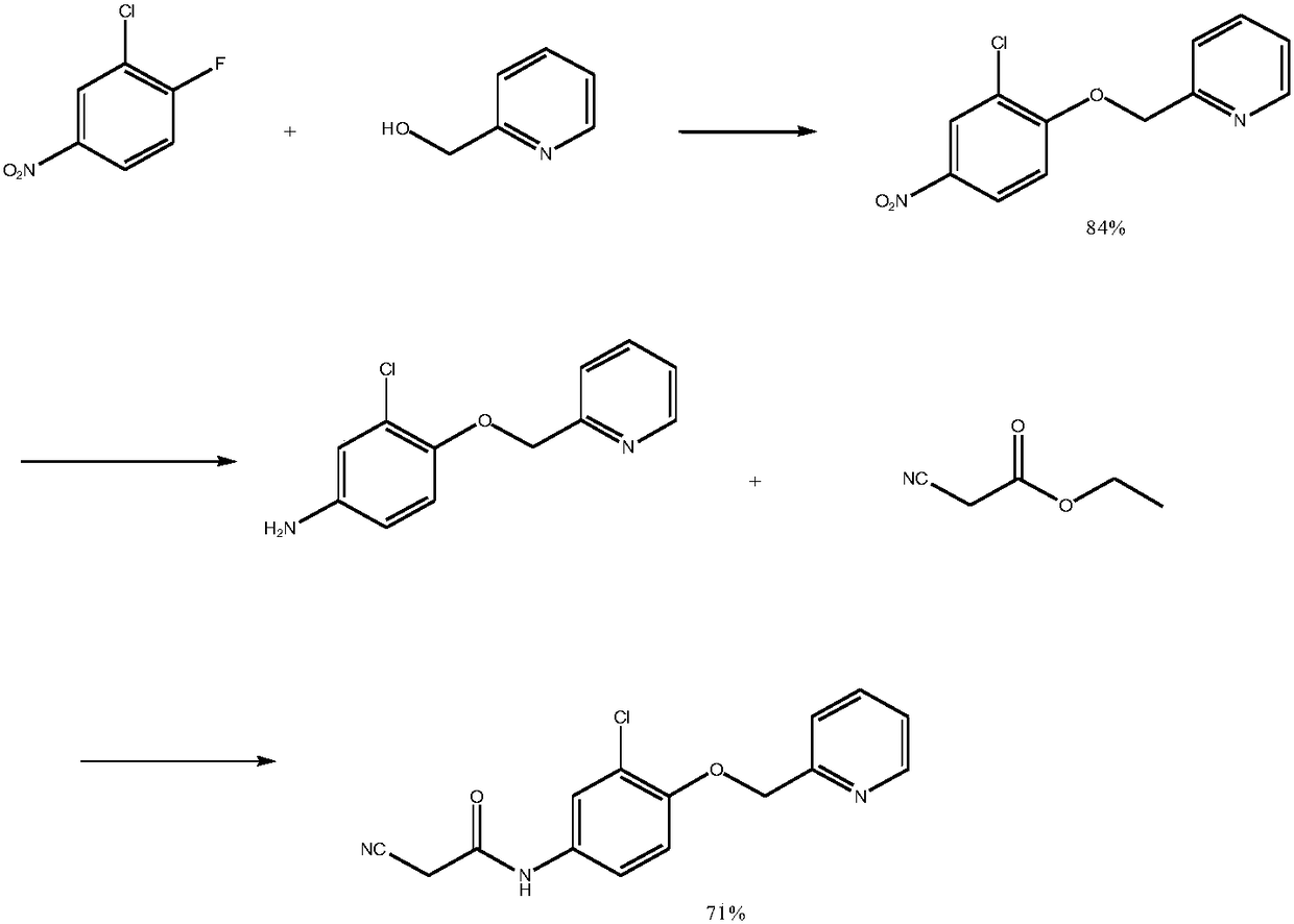 Preparation method of N-(3-chlorine-4-(2-pyridine methoxy)phenyl)-2-cyanoacetamide
