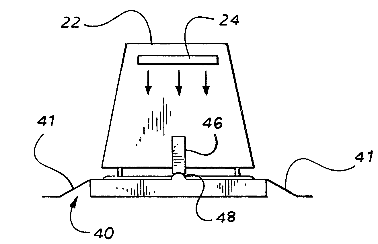 Apparatus for exterminating an ant colony and method of using the same