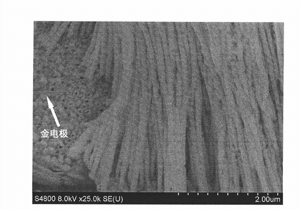 Nickel-bismuth hybridized nanowire and preparation method thereof