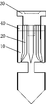 A core-inserted expansion screw and method of use thereof