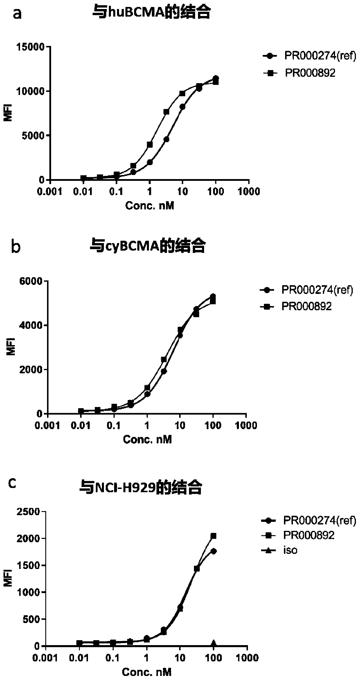 BCMA binding protein and preparation method and application thereof