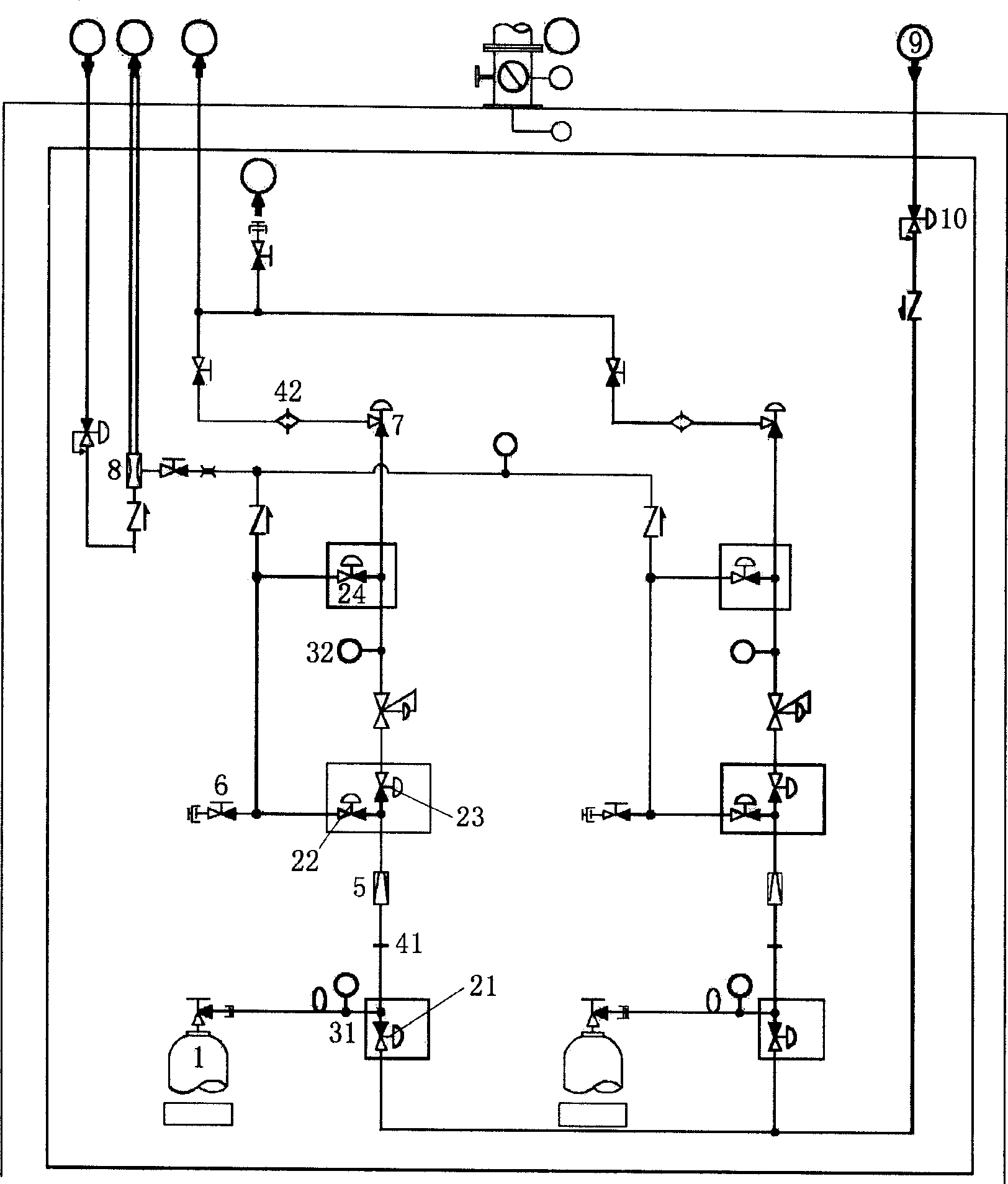 Special gas supply and distribution device