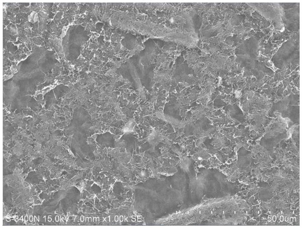 Nanocellulose graphene oxide electrothermal material and preparation method thereof