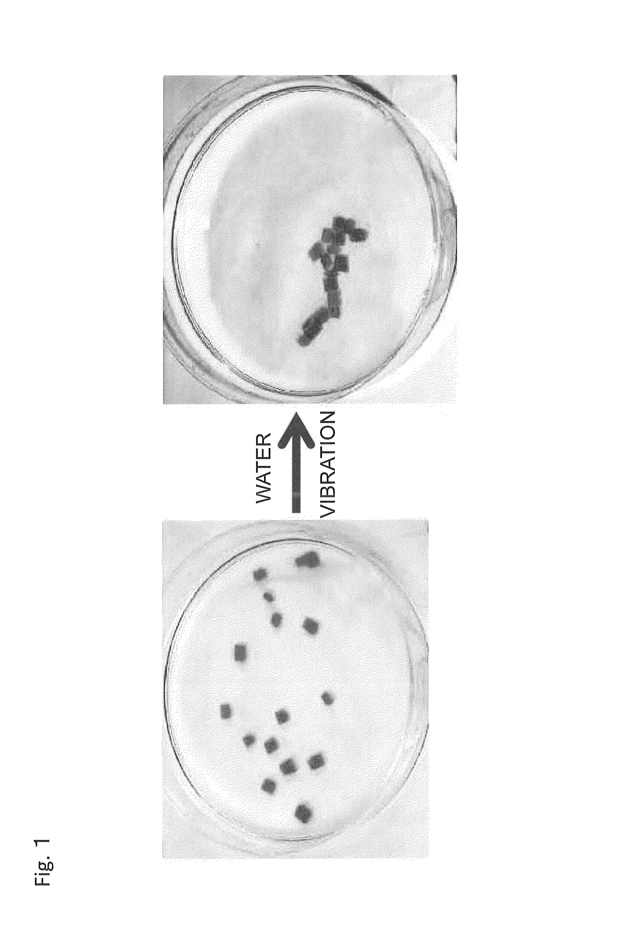 Material self-assembly method and selective adhesion method based on molecular recognition