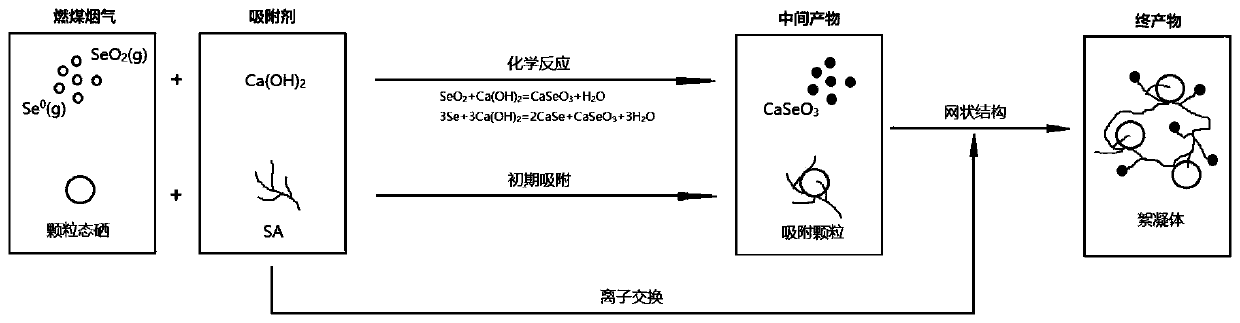Basic group adsorbent for capturing selenium in coal-fired flue gas and preparation method of basic group adsorbent