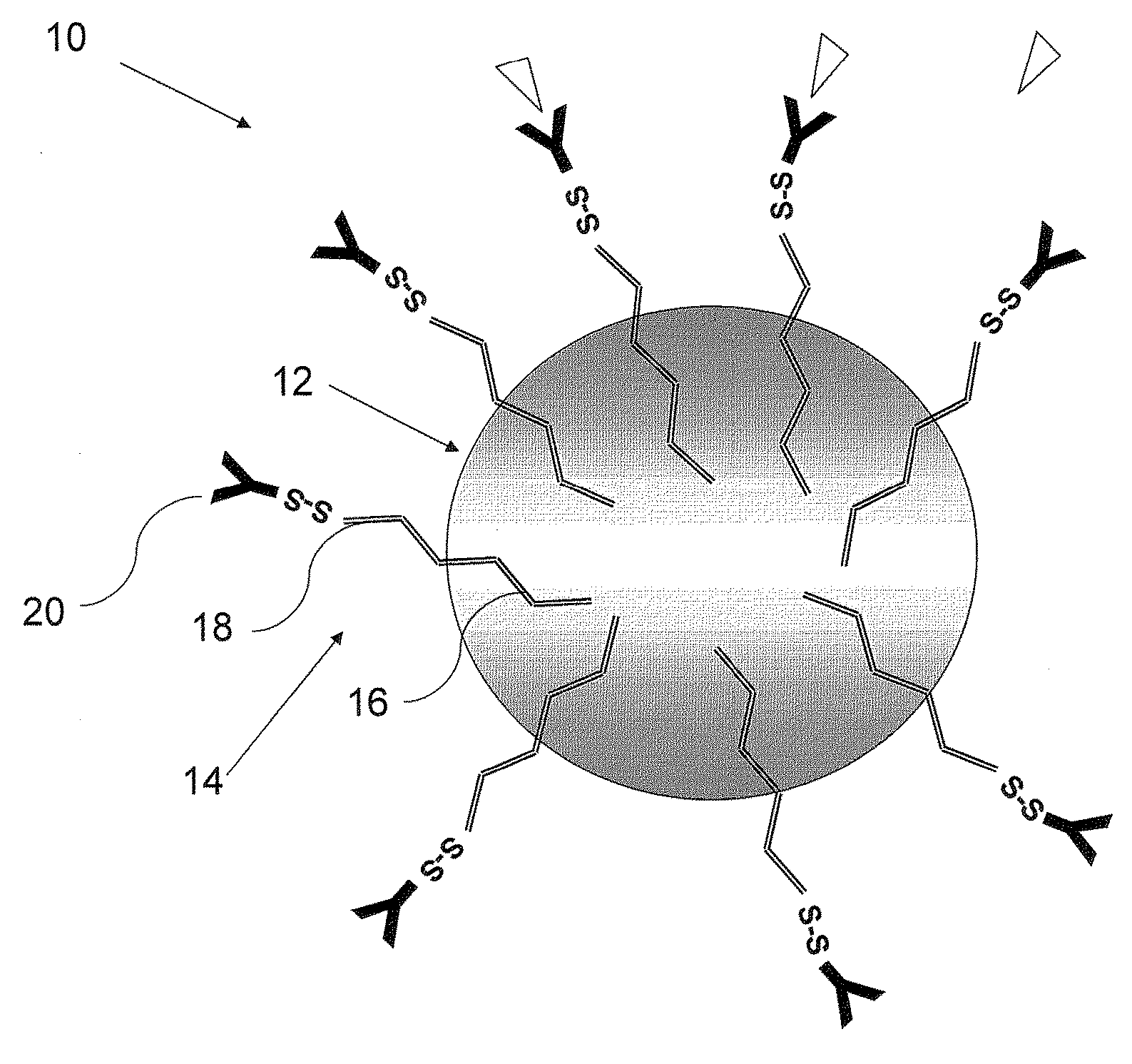 Nanoparticles for targeted delivery of active agents to the lung