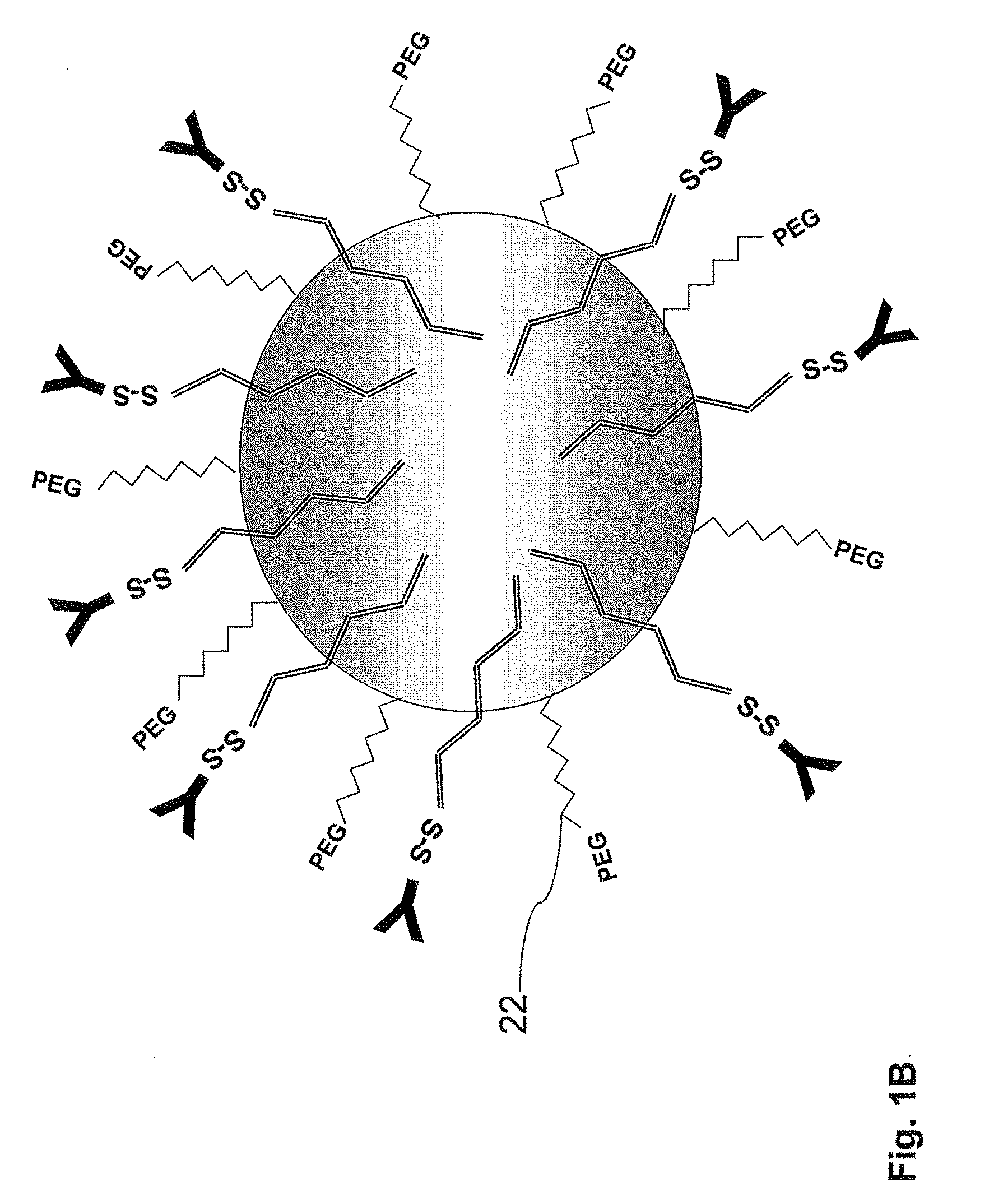 Nanoparticles for targeted delivery of active agents to the lung