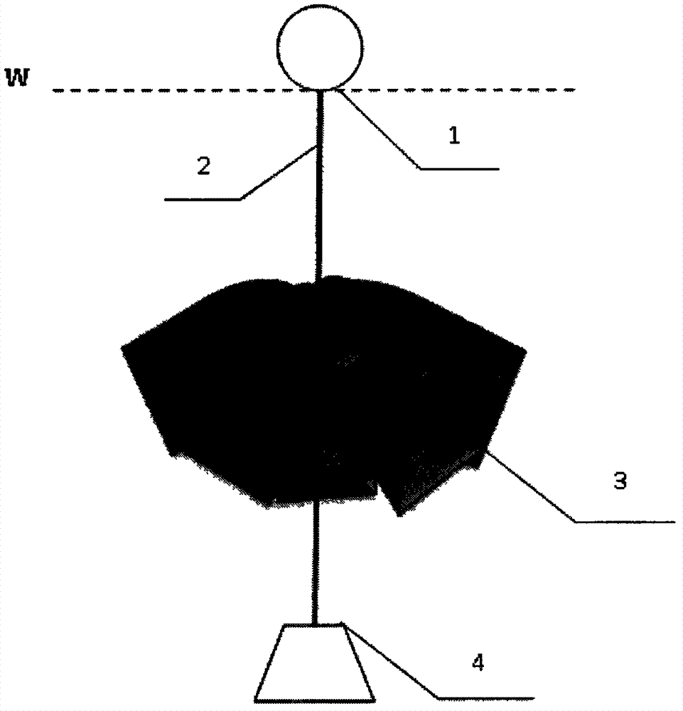Method for collecting zostera marina seeds