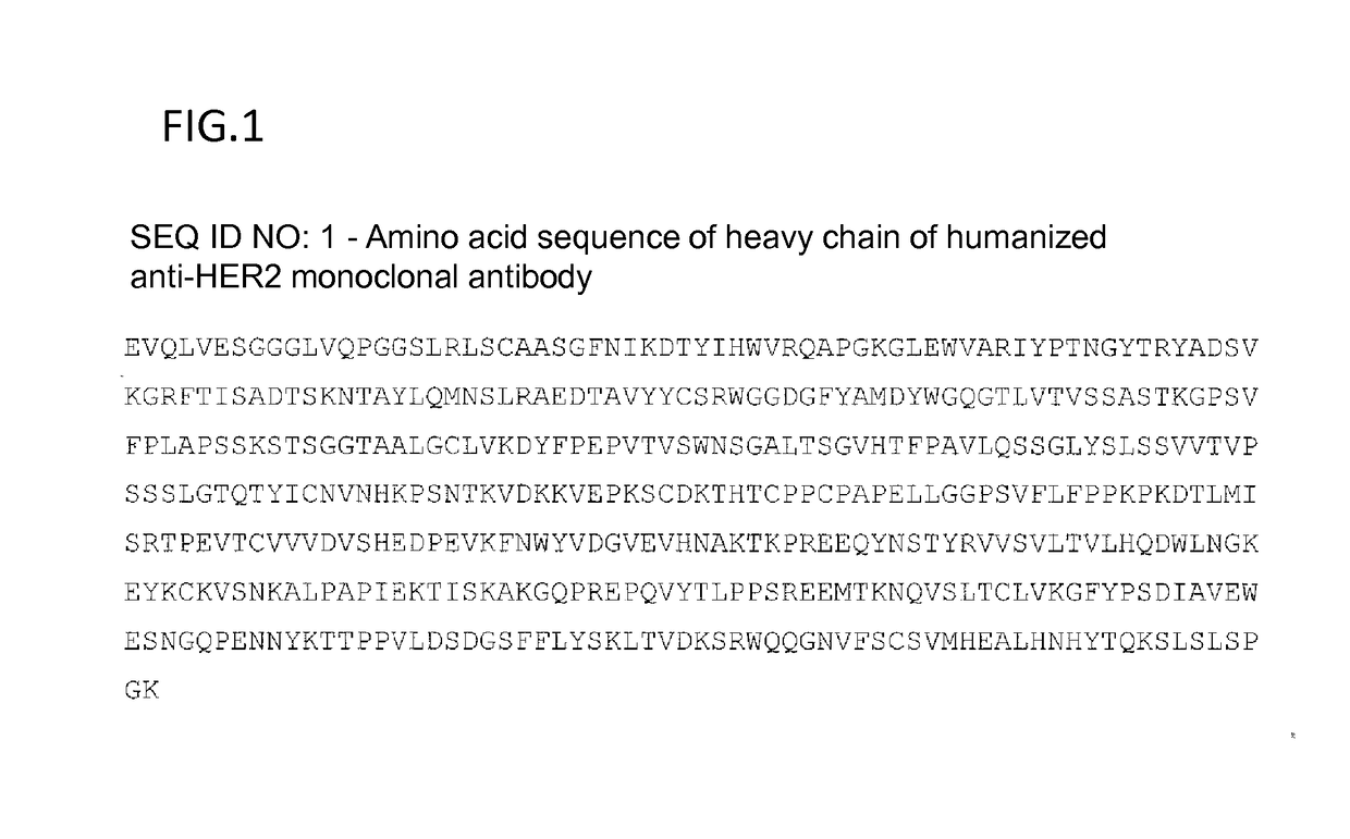 Anti-her2 antibody-drug conjugate