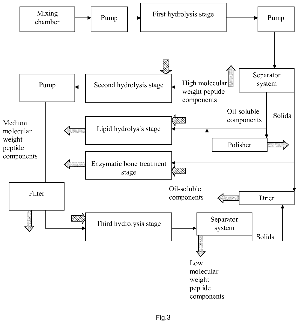 Enzymatic processing plant and method of enzymatic processing