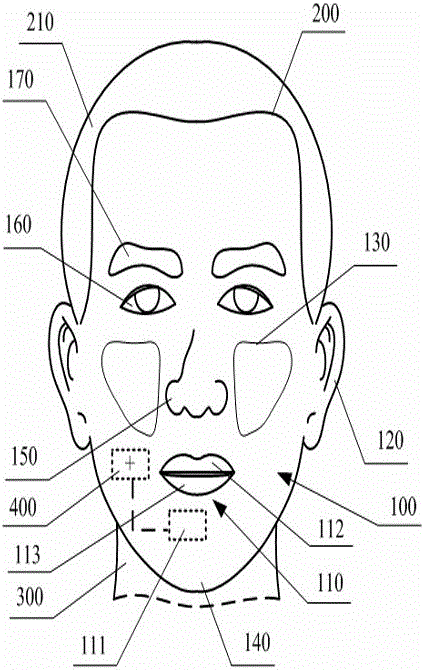 Human face simulation robot