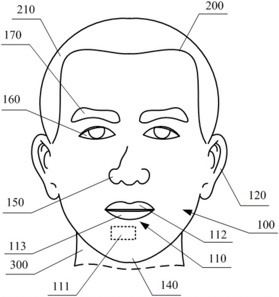 Human face simulation robot