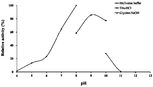 A kind of alkaline salt-tolerant pullulanase pula and its gene and application