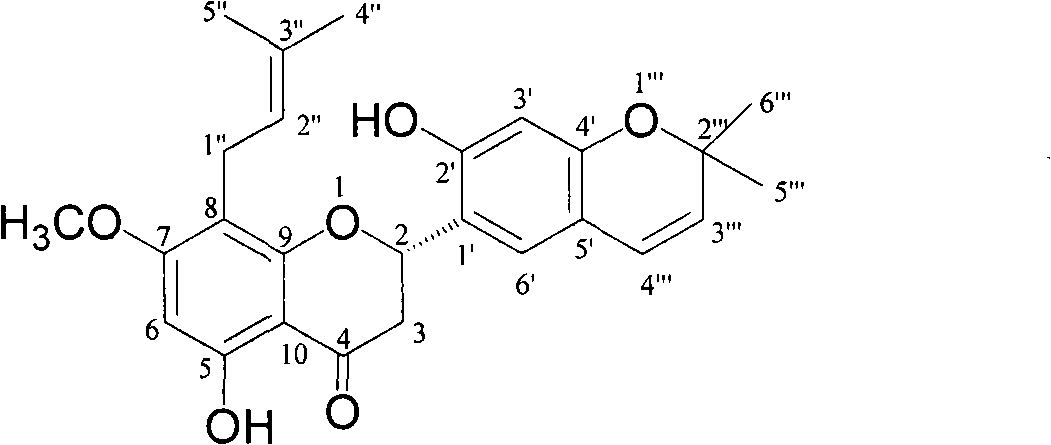 Novel flavonoid extracted from Maackia amurensis