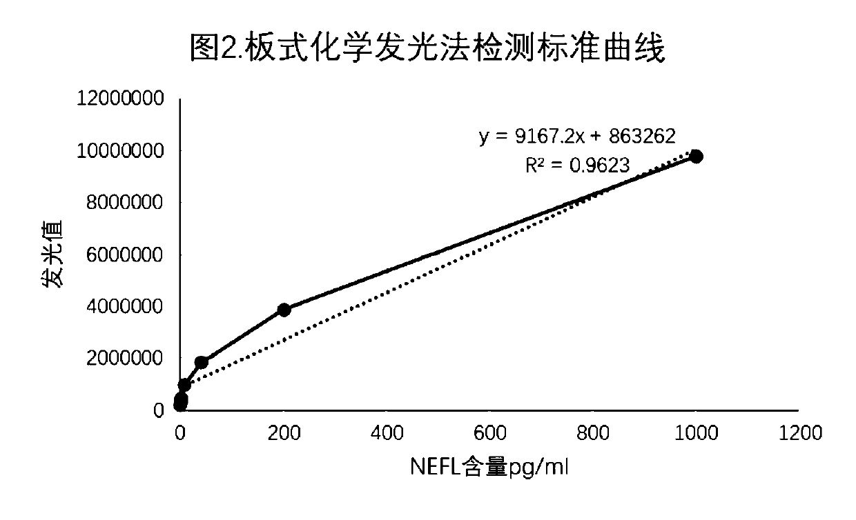 Monoclonal antibody against human neurofilament light polypeptide (NEFL) and application thereof
