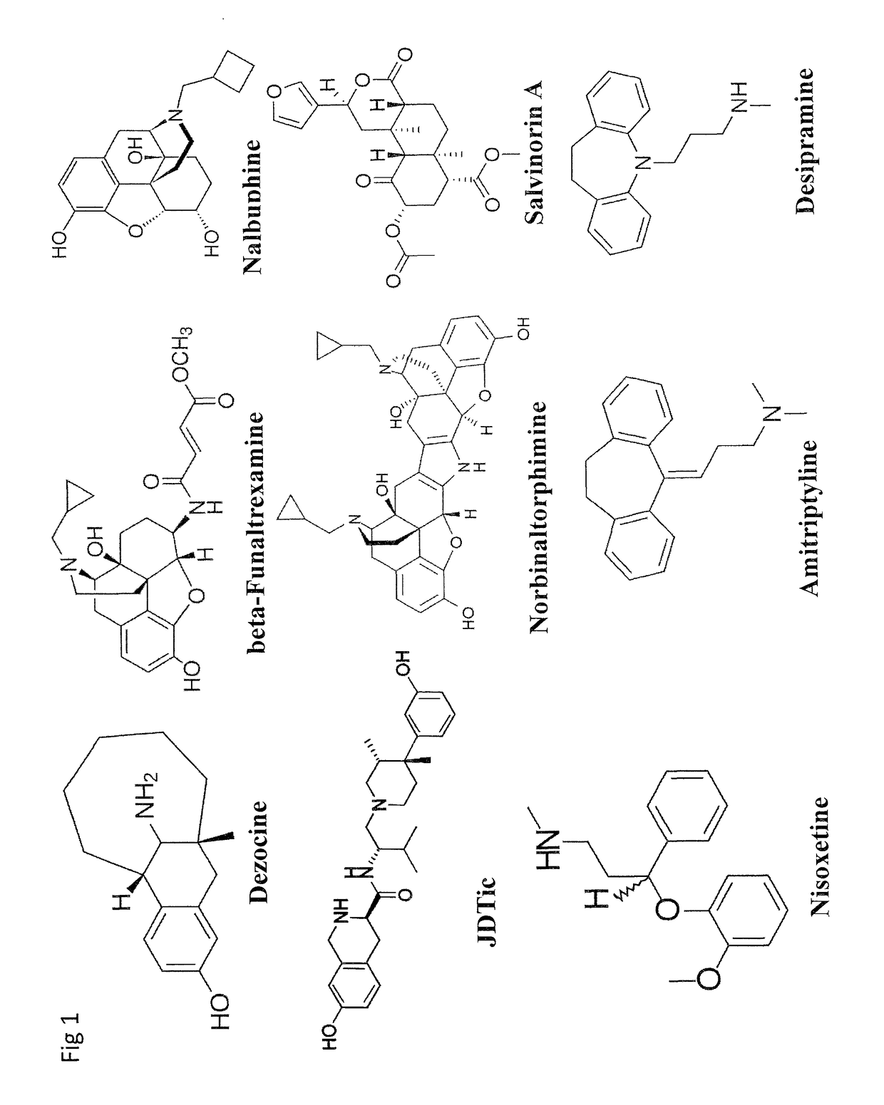 Compositions and methods for treating opioid receptor associated diseases
