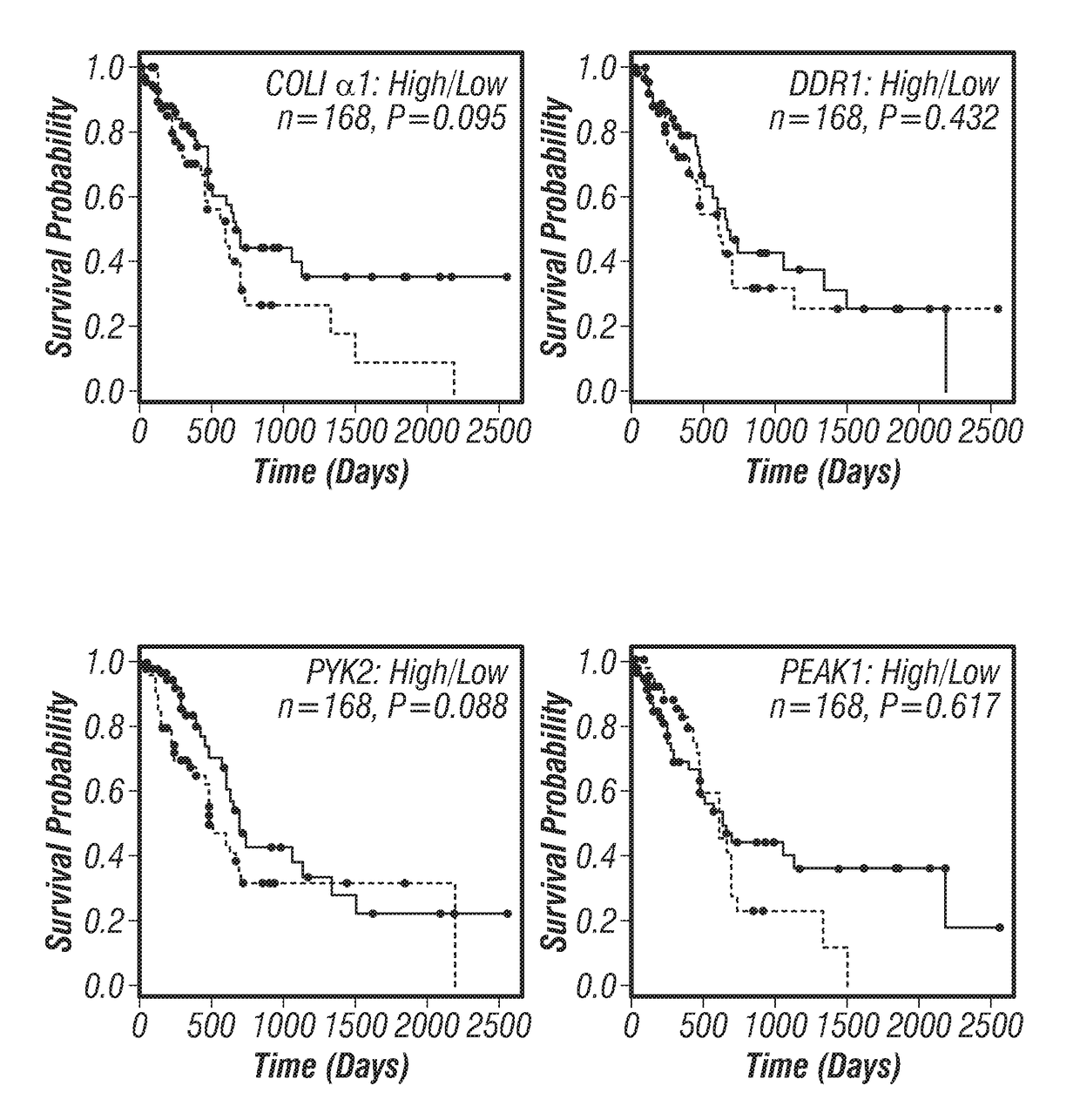 Small-molecule inhibitors targeting discoidin domain receptor 1 and uses thereof