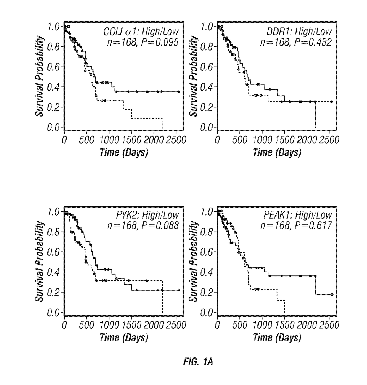 Small-molecule inhibitors targeting discoidin domain receptor 1 and uses thereof
