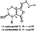 Preparation of senkyunolide I and senkyunolide H from ligusticum wallichii extract via high-speed countercurrent chromatography