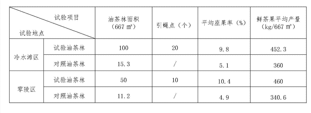 Method for pollination of oil tea tree by using ecological fly