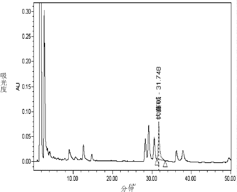 Process for extracting rhynchophylline monomers from uncaria rhynchophylla