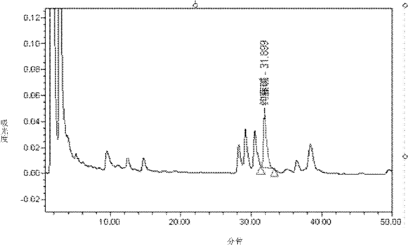 Process for extracting rhynchophylline monomers from uncaria rhynchophylla