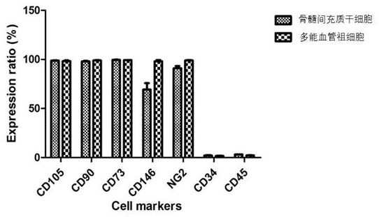 Method of purifying pluripotent vascular progenitor cells from perinatal tissue