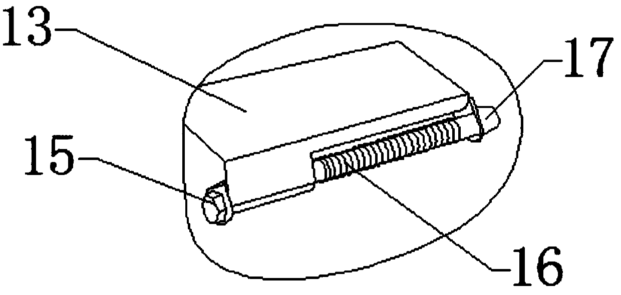 Slicing device for biomedical experiment