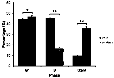 Application of human TMEFF1 gene and related products
