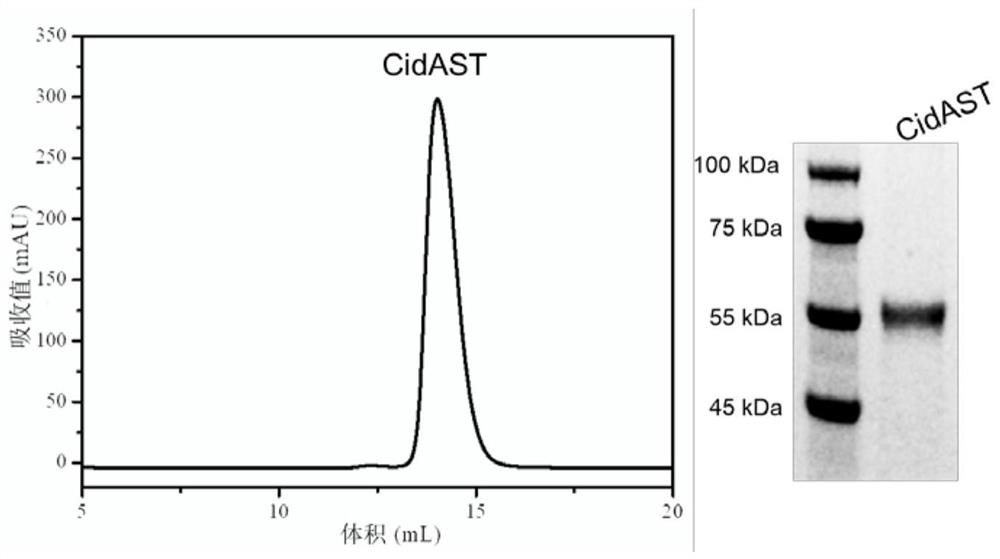 Use of CifA and CifB muteins for modulating cytoplasm incompatibility