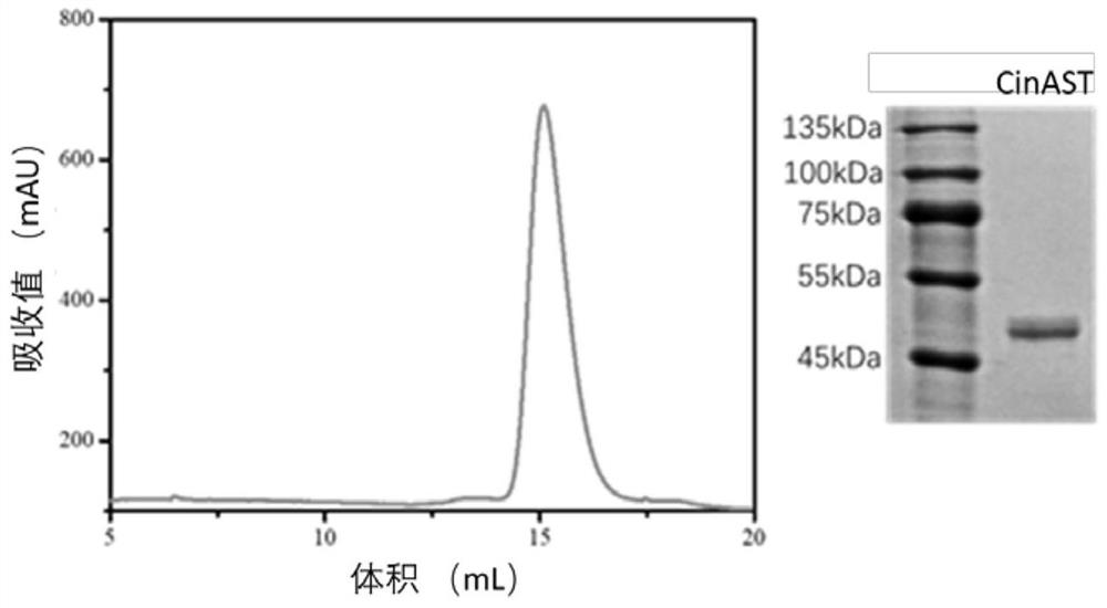 Use of CifA and CifB muteins for modulating cytoplasm incompatibility