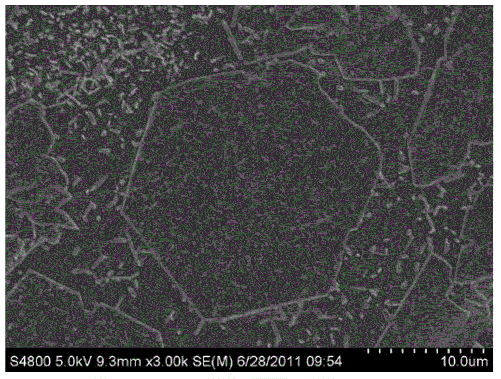 Method for preparing high-strength wear-resistant glass-ceramic by using iron tailings