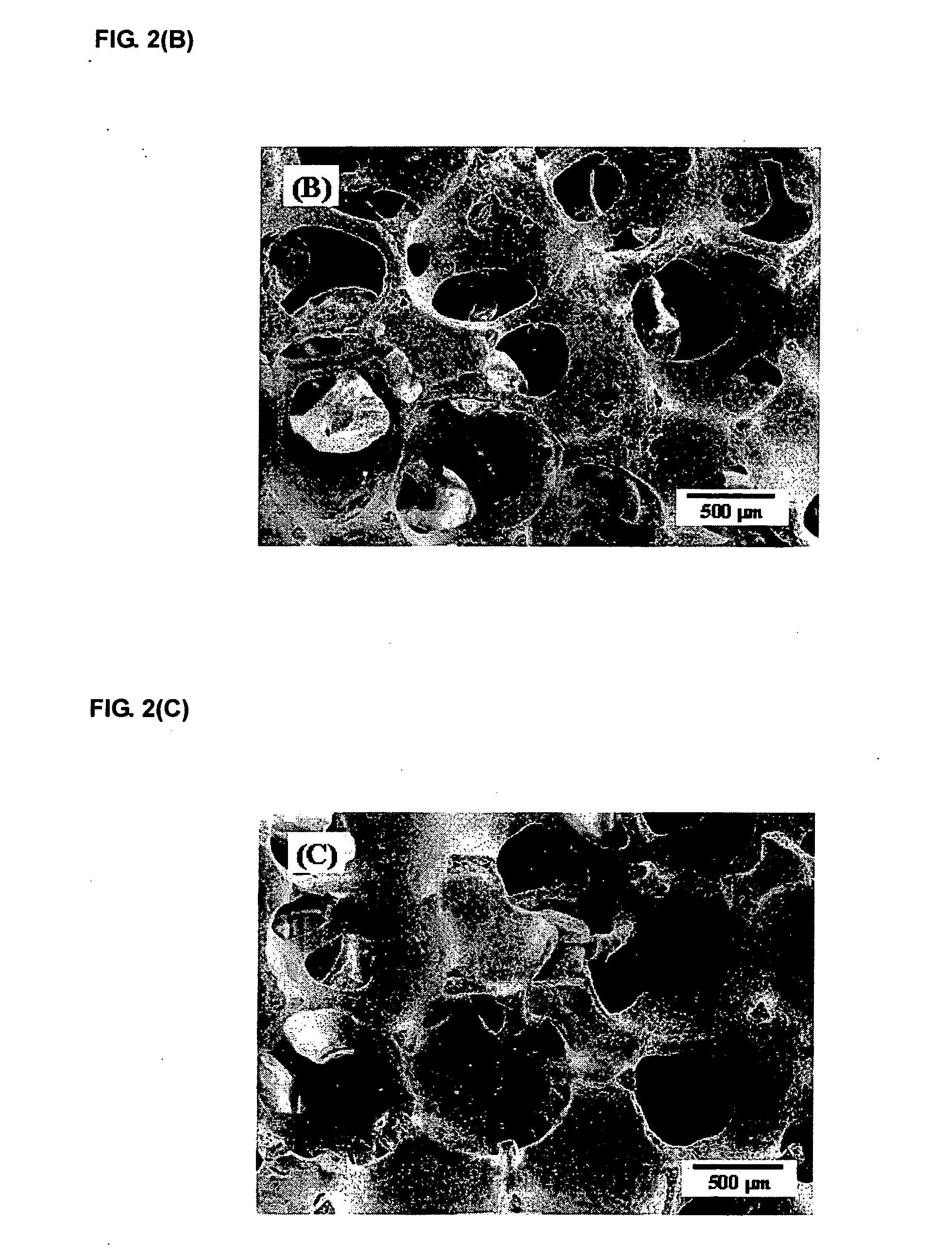 Porous bioceramics for bone scaffold and method for manufacturing the same