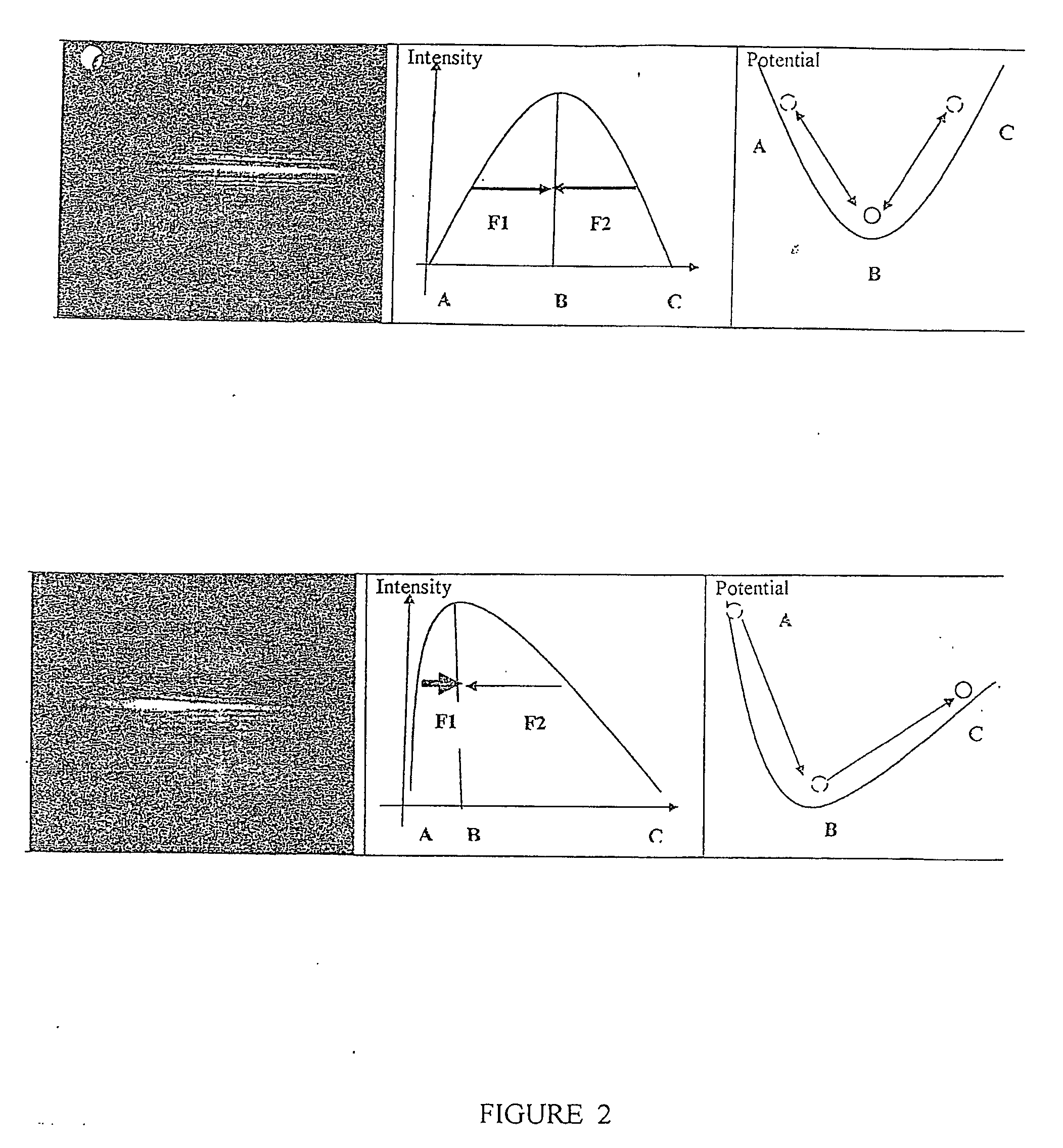 Apparatus and method for transport of microscopic object(s)