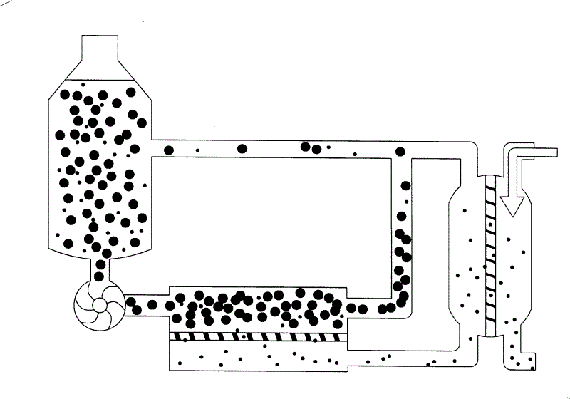 Light wine and brewing process thereof