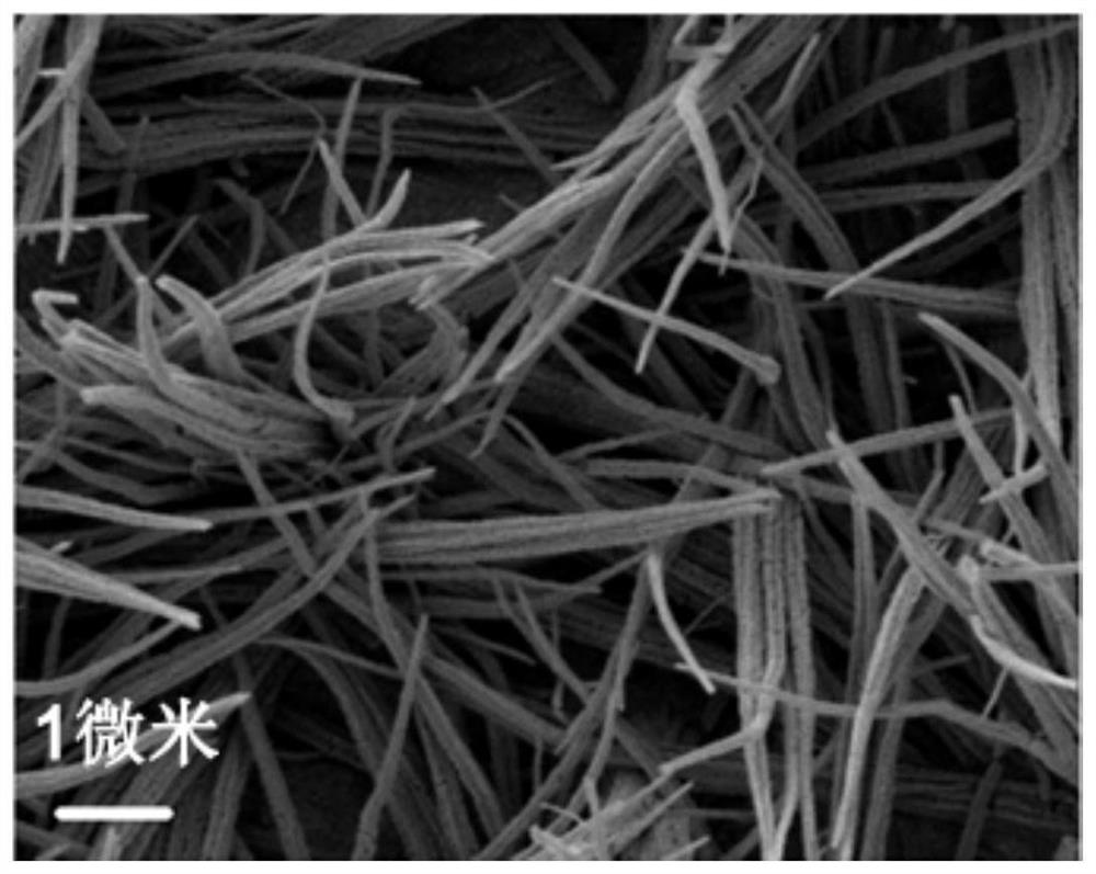 In situ synthesis of copper nanowire array material and its preparation method and application