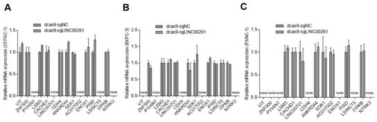 dCas9-sgLINC00261 system for inhibiting pancreatic cancer progression, construction method and application