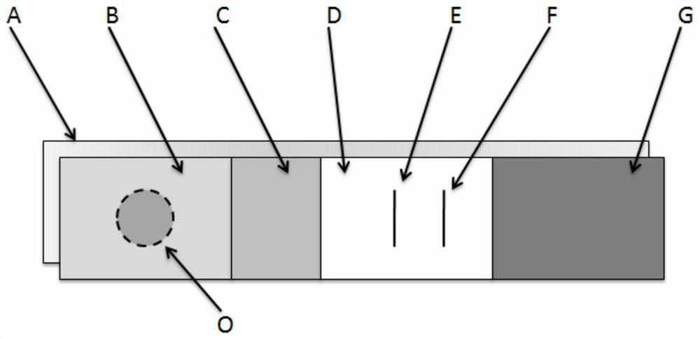 Method and test strip for evaluating cross-species infection risk of coronavirus and application of test strip