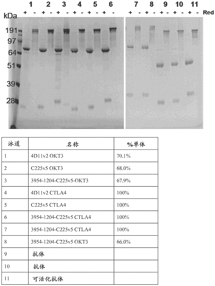 Multispecific antibodies, multispecific activatable antibodies and methods of using the same