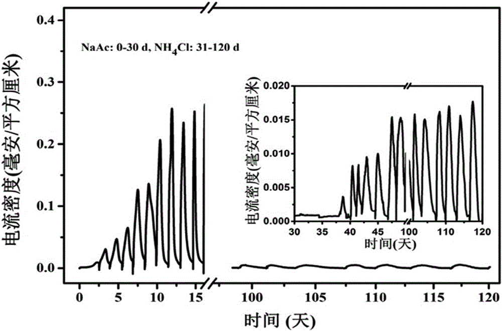 Method for electrochemical enrichment culture of anaerobic ammonia oxidation biomembrane