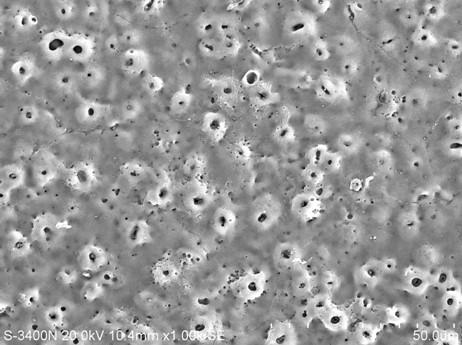 Method for preparing ceramic oxide film of different colors on the surface of titanium alloy